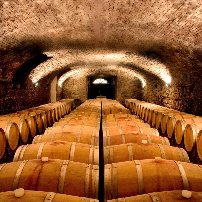 Wine cellars and gourmet products